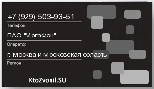 Кто звонил с 9295039351 - регион и оператор
